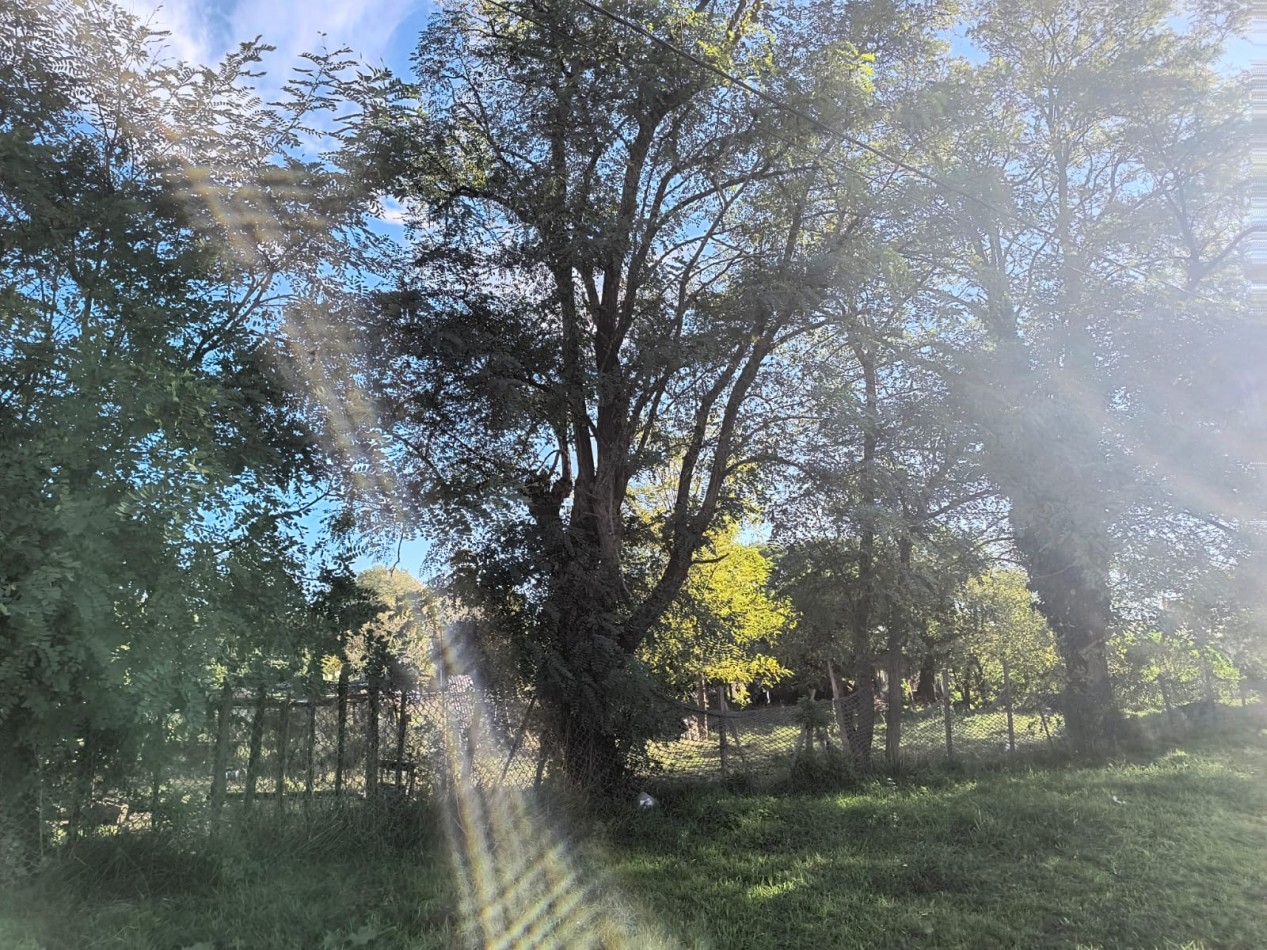 LOTE EN VENTA QUEBRADA PERALTA RAMOS (Atras del Barrio Privado Rumenco)