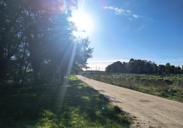 LOTE EN VENTA QUEBRADA PERALTA RAMOS (Atras del Barrio Privado Rumenco)
